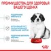 Royal Canin Giant Puppy Корм сухой для щенков очень крупных размеров до 8 месяцев – интернет-магазин Ле’Муррр
