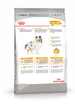 Royal Canin Mini Coat Care Сухой корм для взрослых собак мелких пород для здоровой шерсти – интернет-магазин Ле’Муррр